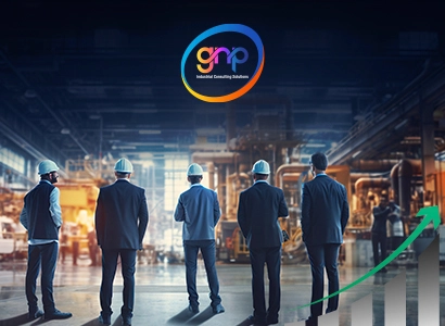 GNP